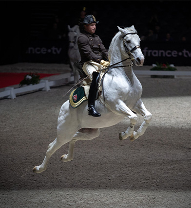 Ecole Espagnole d'equitation de Vienne 1